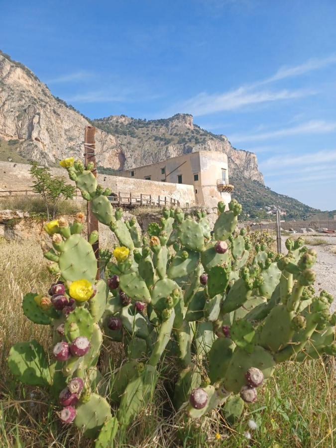 Giorgisa Apartman Palermo Kültér fotó